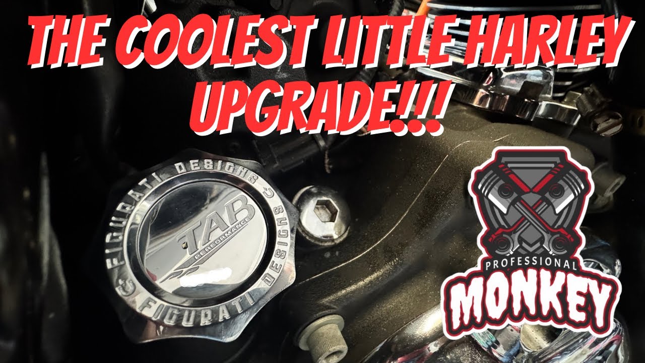 Cargar video: The Smallest Harley Davidson Upgrades Are The Best